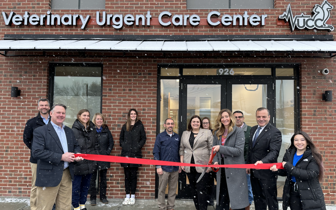 Veterinary Urgent Care Center Opens in Dedham, Massachusetts
